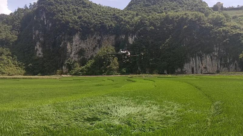 无人机“飞防”作业图片 (1).jpg