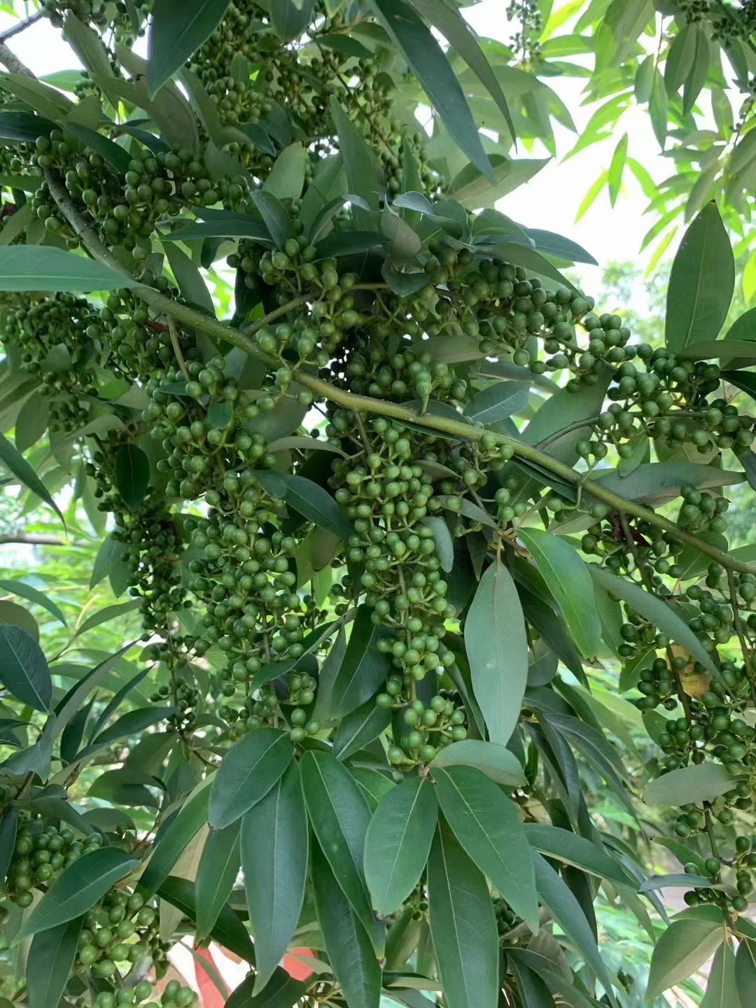 微信图片_2025-05-06_151733_459.png
