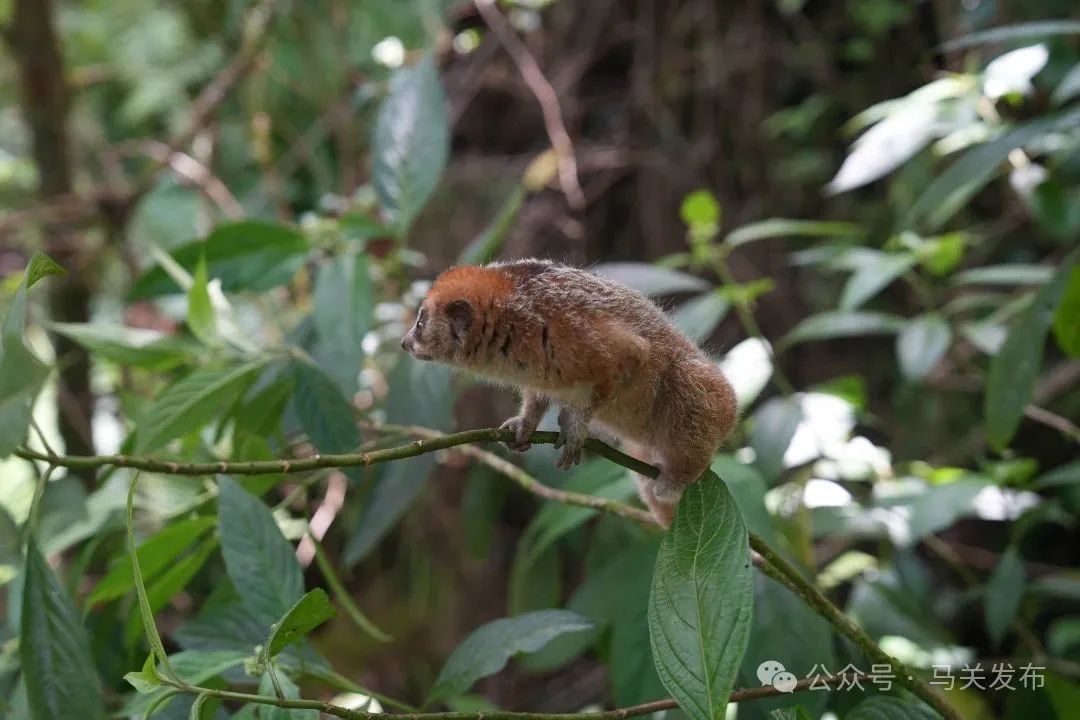 DSC01065.JPG