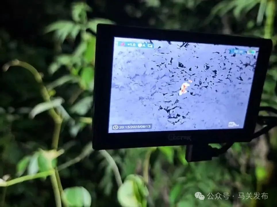 1ec5fbcc50d788838fa730995d895dfd.mp4_20250615_122152.732.jpg