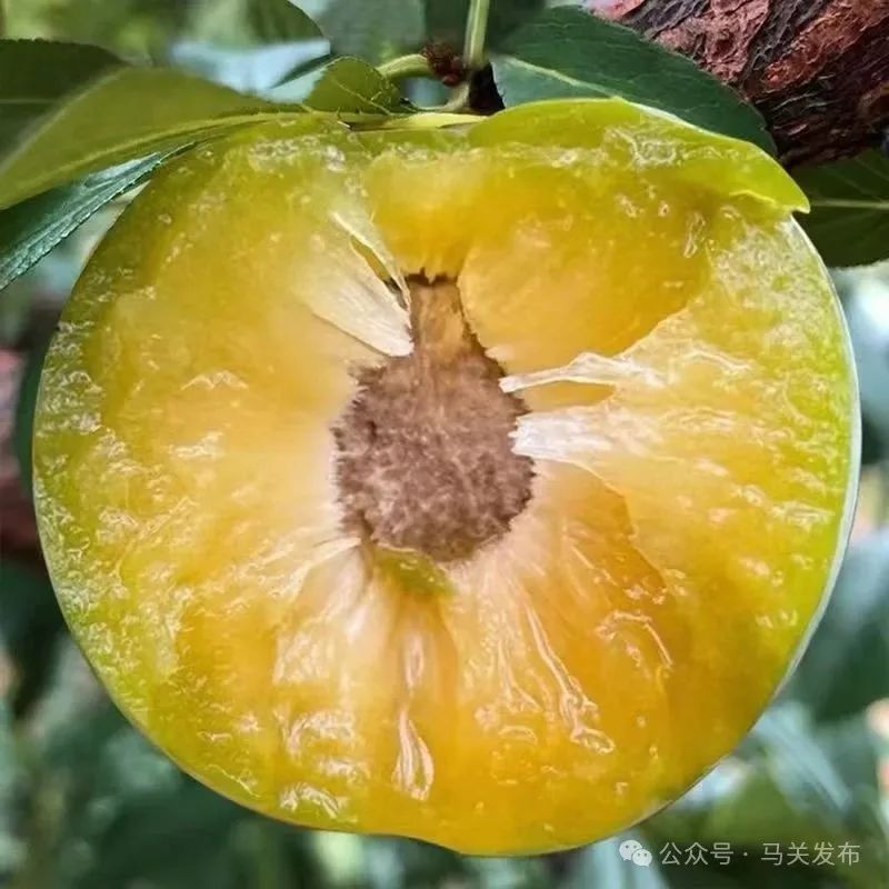 微信图片_20250617122319.jpg