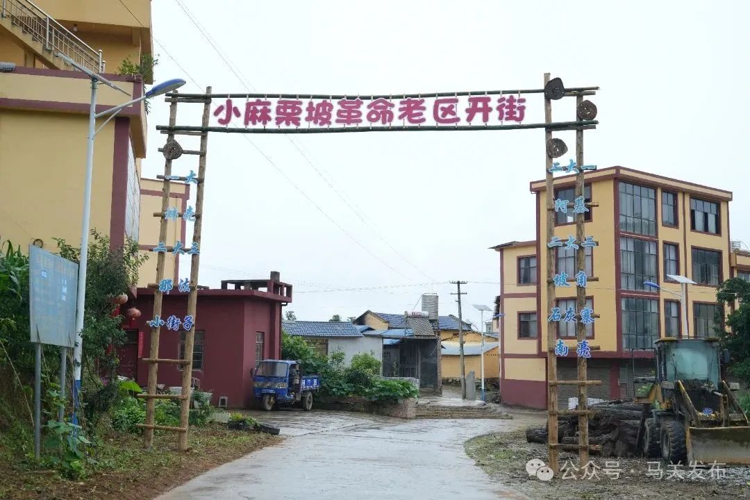 DSC01503.JPG