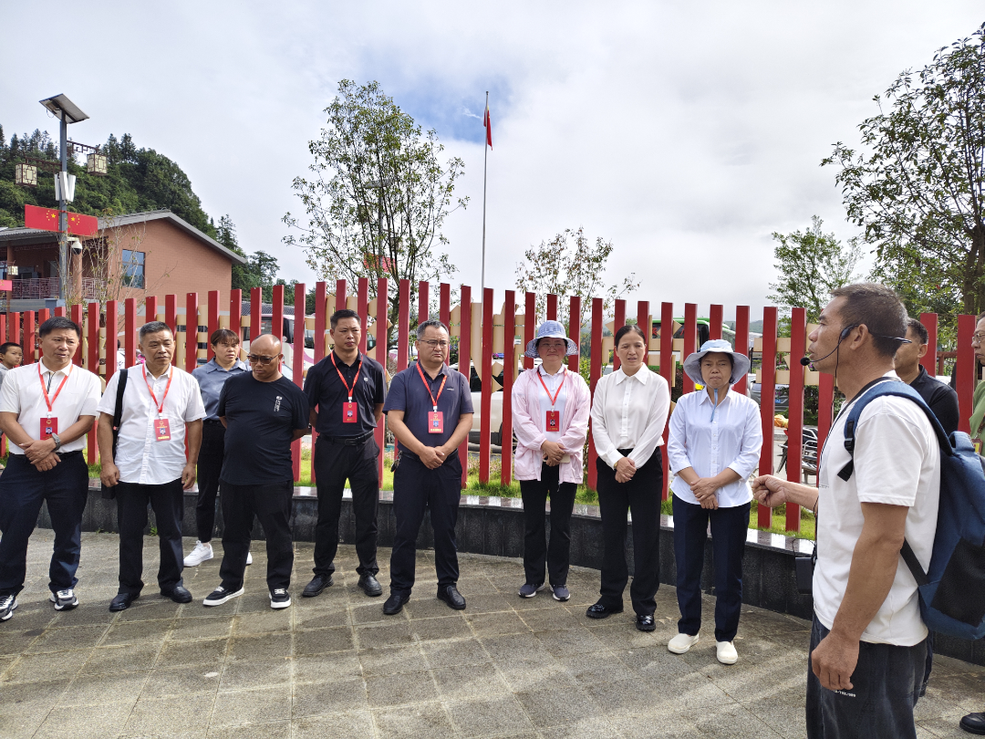 组织人大代表调研民族地区发展情况.png