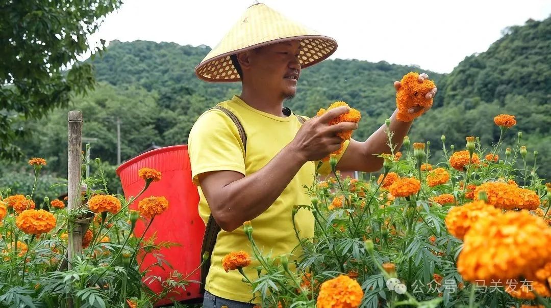 杨友杰4.jpg
