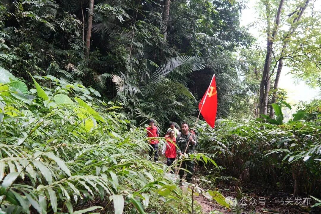 堡堡寨村组织隐患巡查.jpg