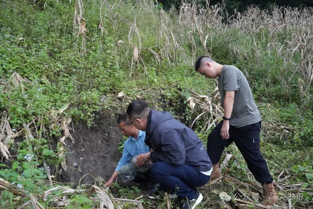 勘察地质隐患点.JPG