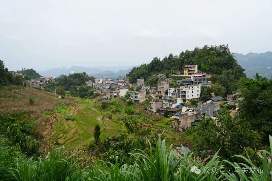 DSC00266.JPG