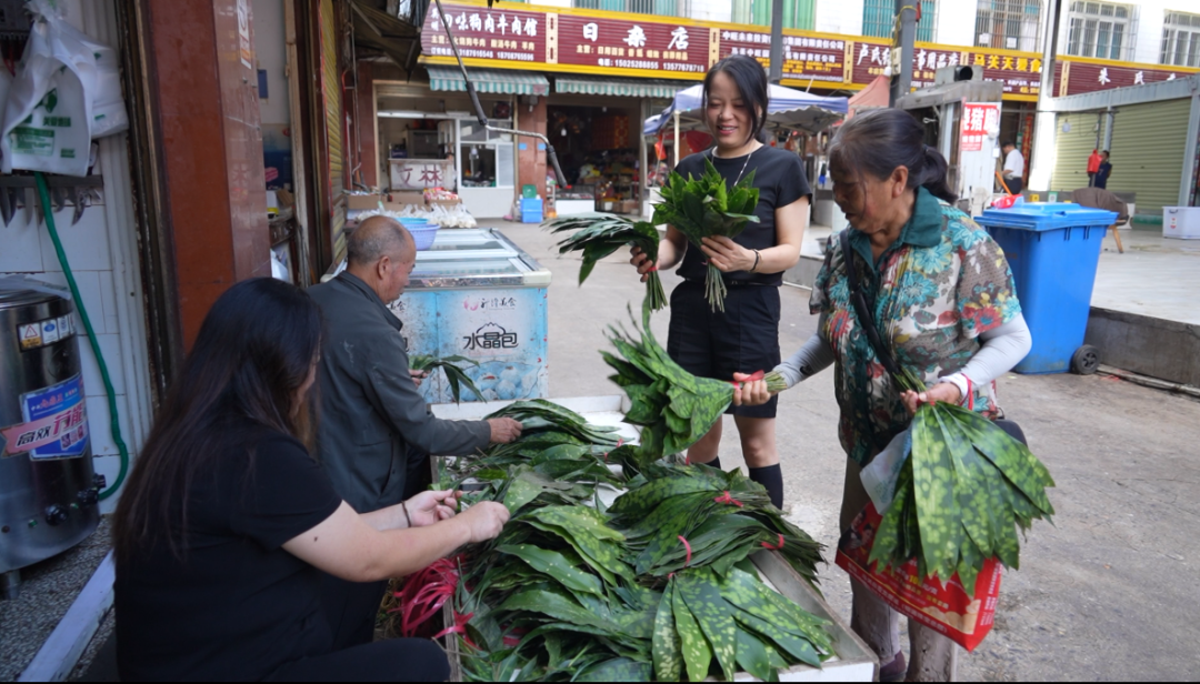 微信图片_20260609145318_404_245.png