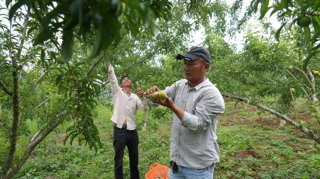 袁胜才.JPG