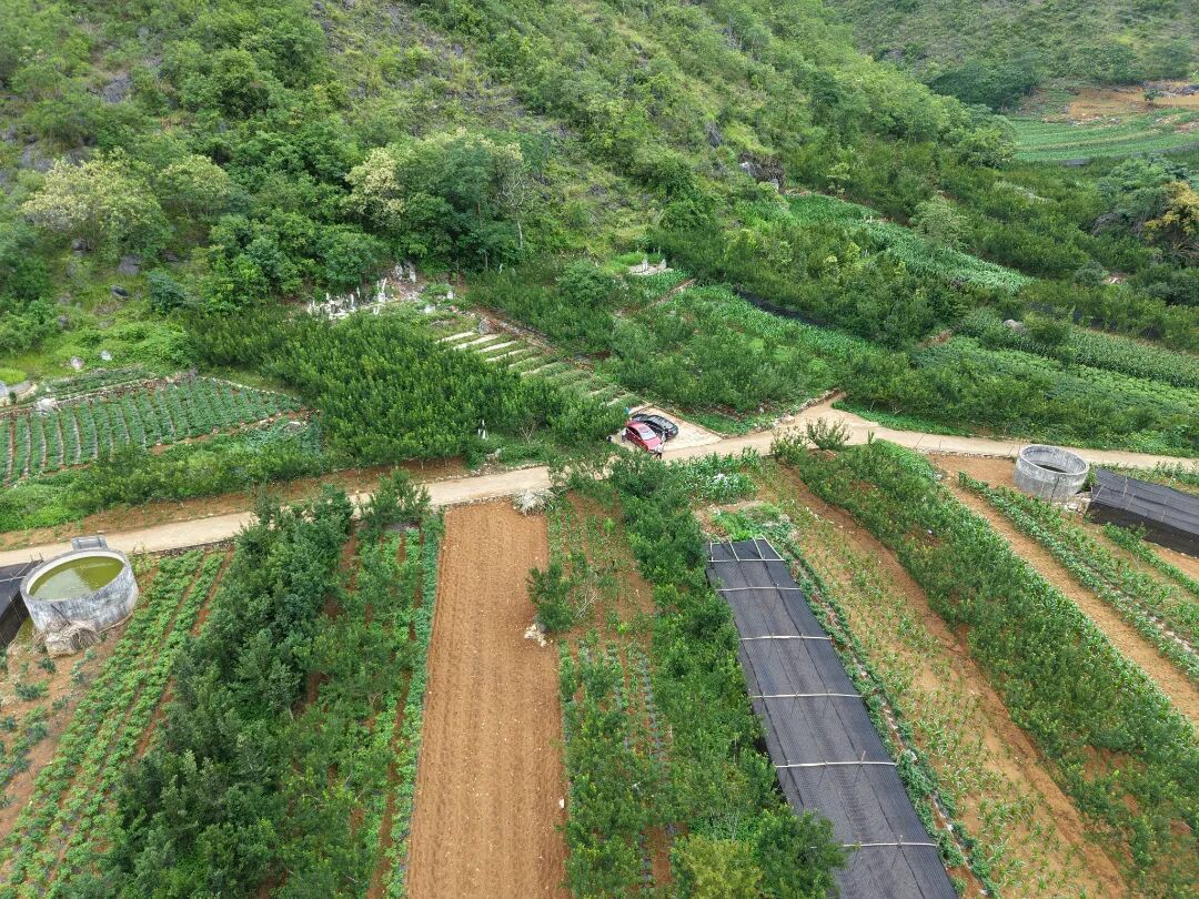 DJI_20260609100554_0242_D.JPG