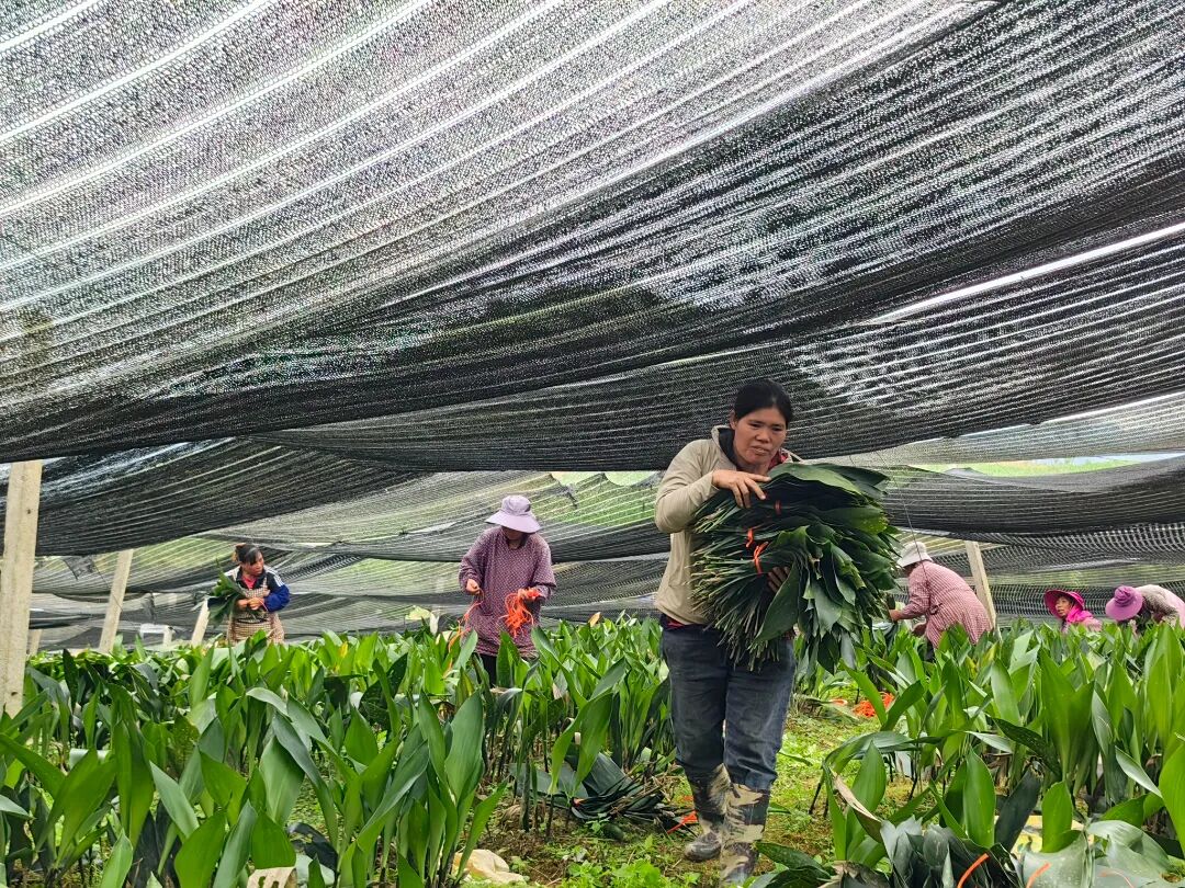 微信图片_20260612114747_871_436.jpg