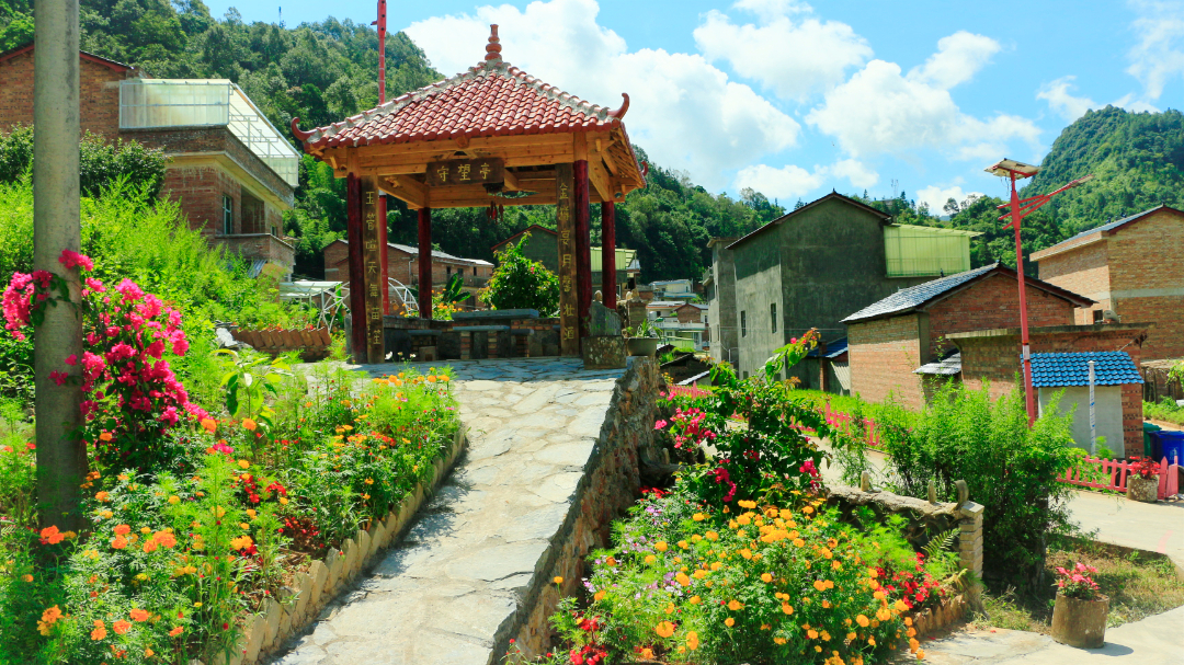 绿美建设成果.jpg