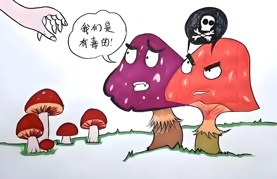 5 图片1.png