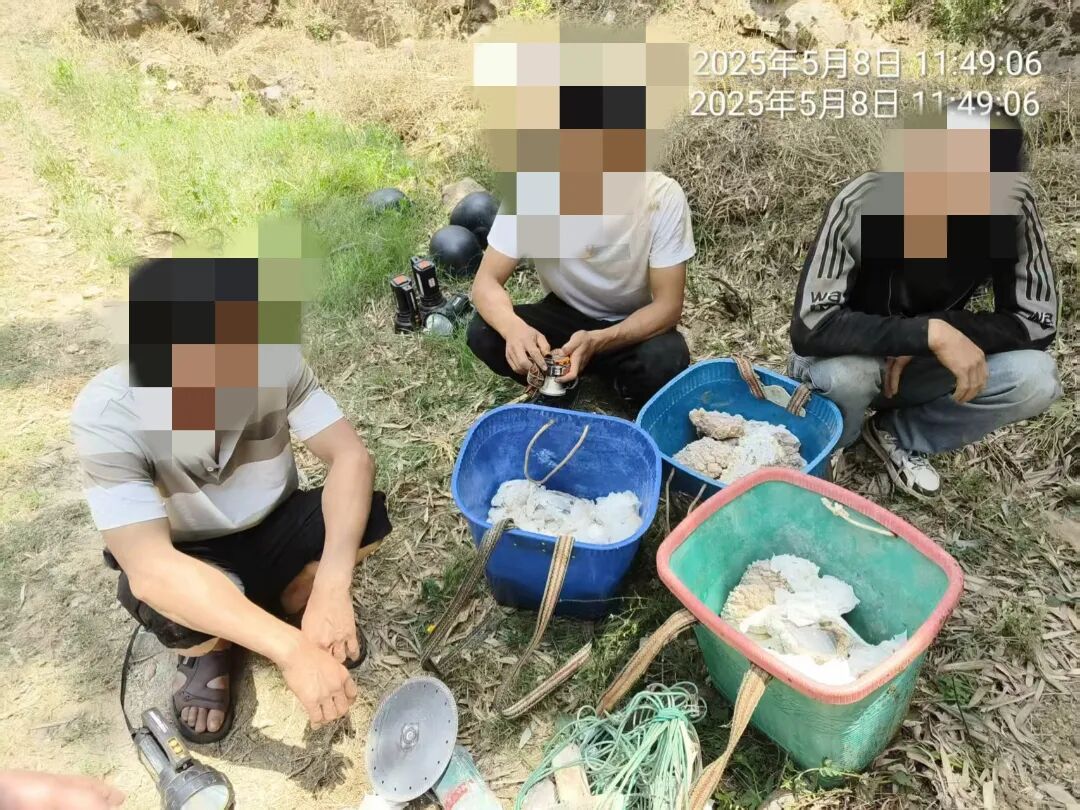 微信图片_20260819112333_22_68.jpg